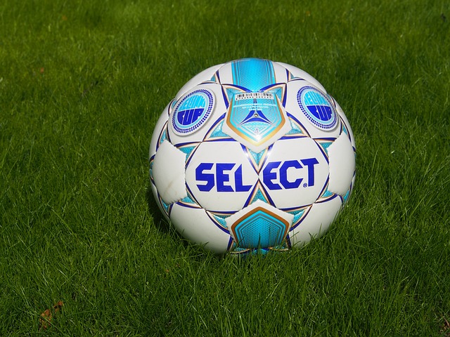 的主导下 的主导下