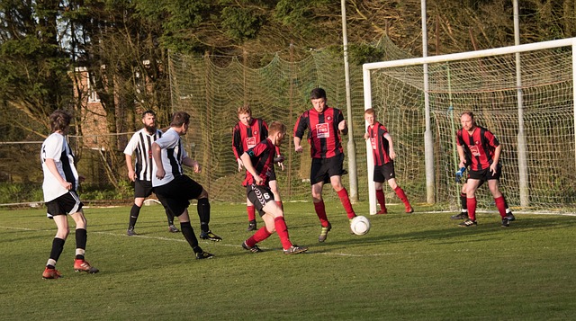 作為主力成 作為主力成