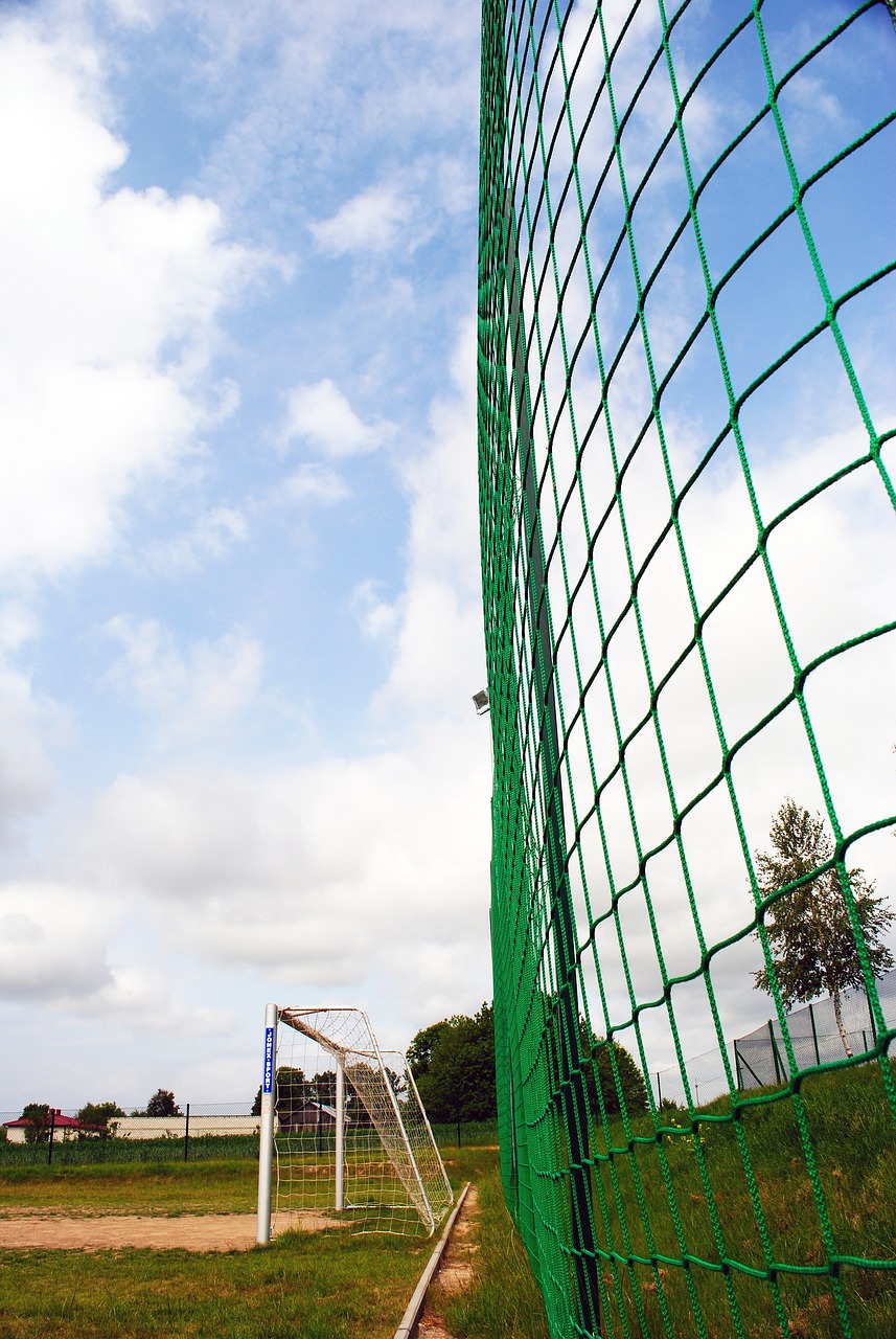 关注球队的 关注球队的