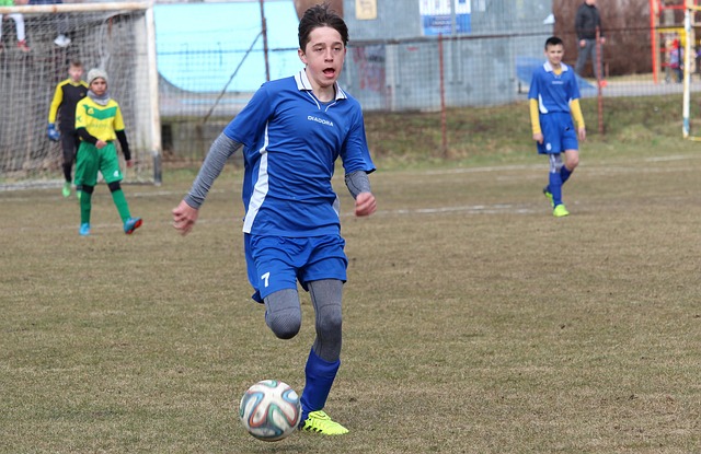 排名高于自 排名高于自