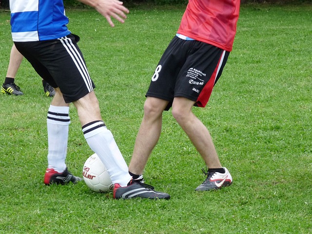 拜仁支持废 拜仁支持废