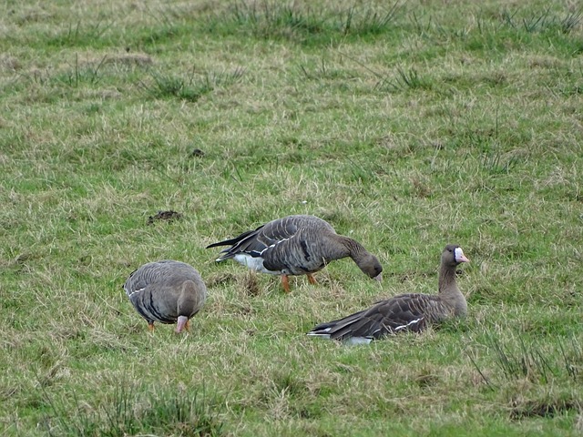 尤其是在 尤其是在