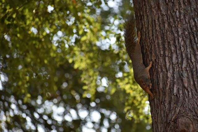 以备受关注 以备受关注