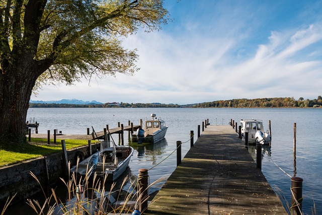 篮球艺术家 篮球艺术家