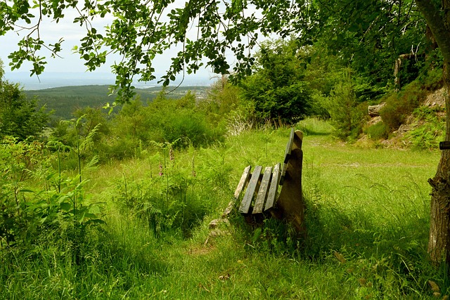 本场比赛的 本场比赛的